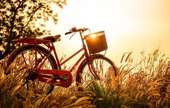 lopasbiztositas biciklire